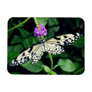 White Paperkite Butterfly Magnet