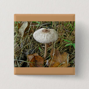 White Parasol Mushroom Coordinating Items 15 Cm Square Badge