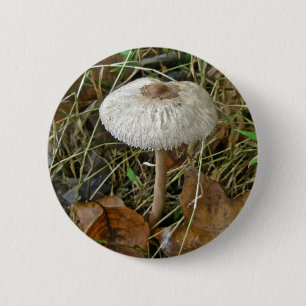 White Parasol Mushroom Coordinating Items 6 Cm Round Badge