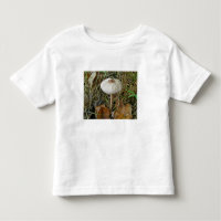 White Parasol Mushroom Coordinating Items