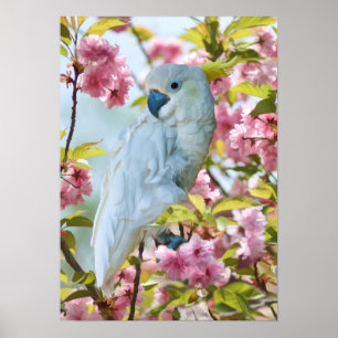White Parrot in Crab Apple Tree Poster