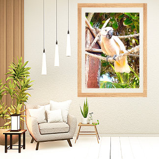 White Parrot Mexican Tropical Poster