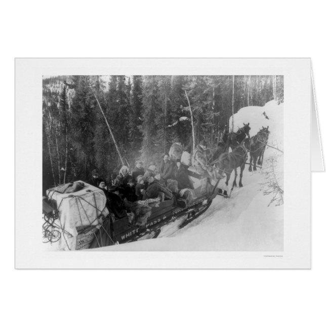 White Pass Alaska Sled Train 1903 (Front Horizontal)