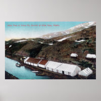 White Pass & Yukon Railroad Train