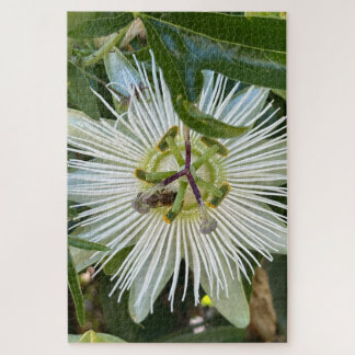 White Passionflower with Bee, Oakland Jigsaw Puzzle