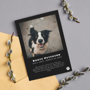 White Pawprint Pet Loss Photo Announcement