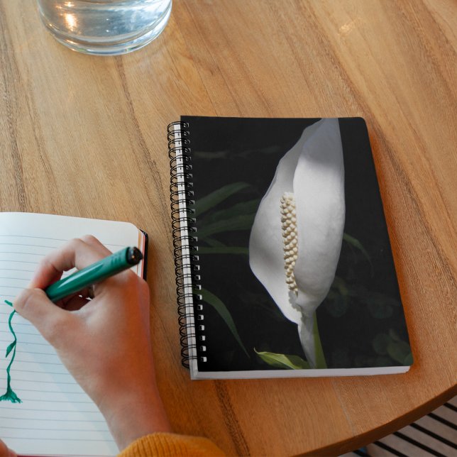 White Peace Lily Plant Floral Notebook (In Situ)