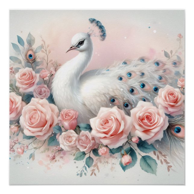White Peacock Blush Pink Roses Decoupage Poster (Front)