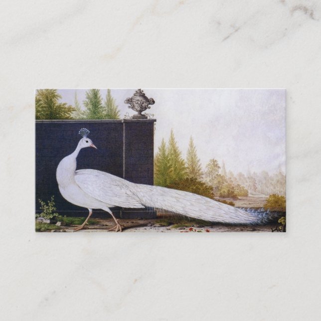 White Peacock Business Card (Front)