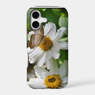 White Peacock Butterfly