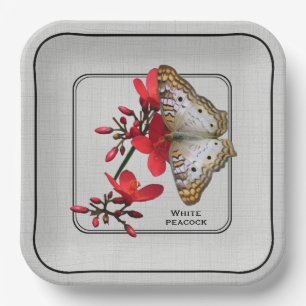 White Peacock Butterfly Close-up Photography Paper Plate