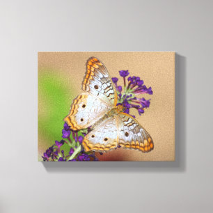 White Peacock Butterfly on Purple Flowers Canvas Print