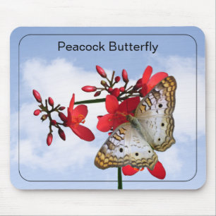 White Peacock Butterfly Photography Blue Sky Mouse Pad