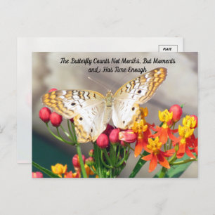White Peacock Butterfly Quote Postcard