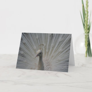 White Peacock Card