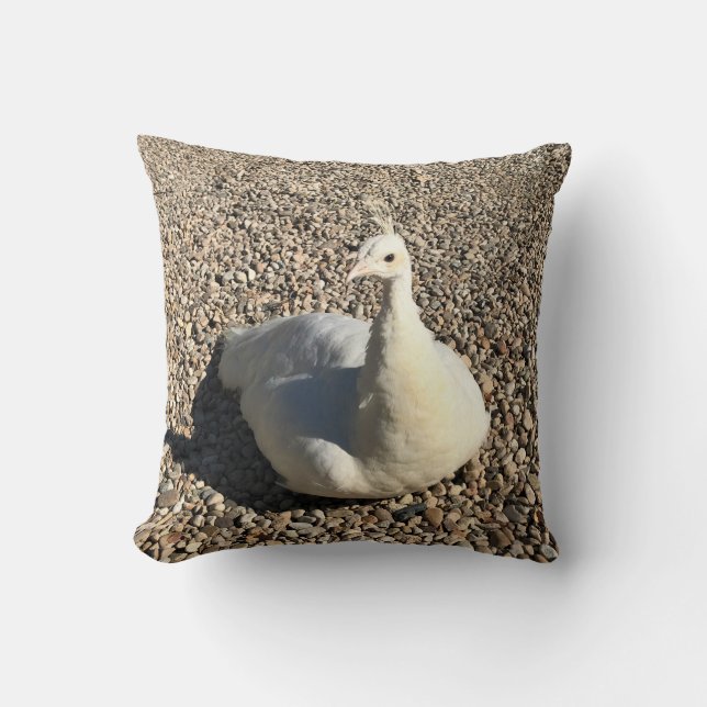 White Peacock, Idaho Cushion (Front)