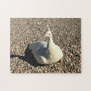White Peacock, Idaho Jigsaw Puzzle