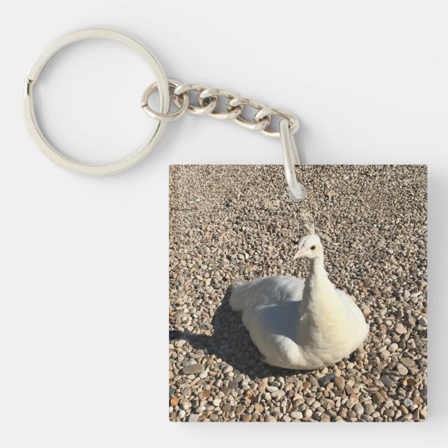 White Peacock, Idaho Key Ring (Front)
