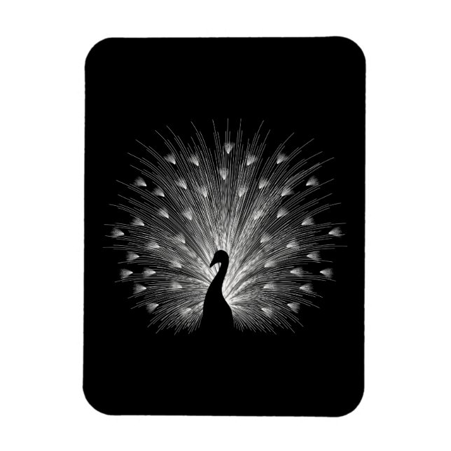 White peacock magnet (Vertical)