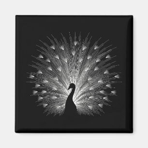 White peacock magnet