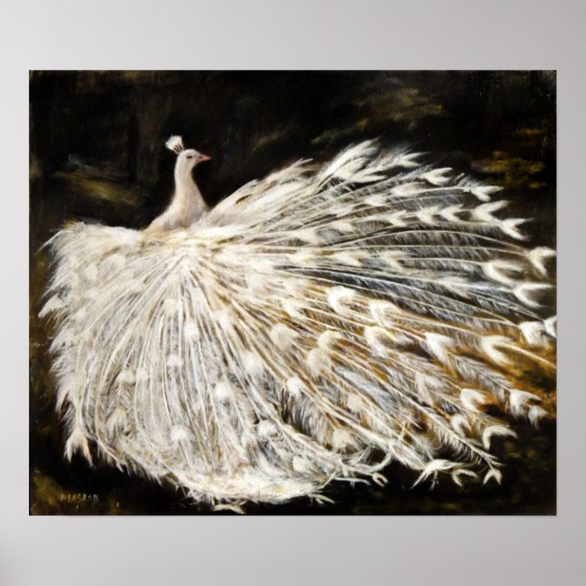White Peacock Oil Painting Fine Art Poster (Front)