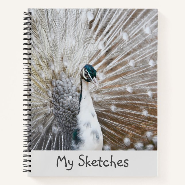 White Peacock Sketchbook Notebook (Front)