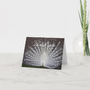 White Peacock Thank You Card