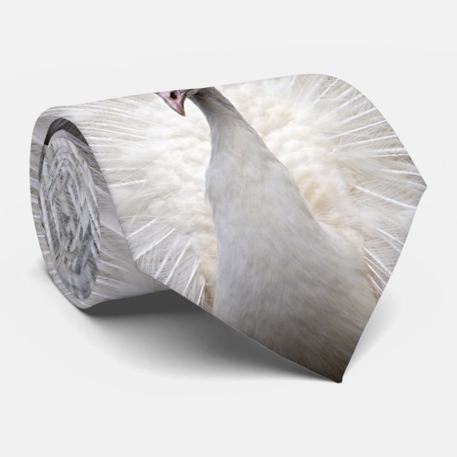 White Peacock Three Panel Tie (Rolled)