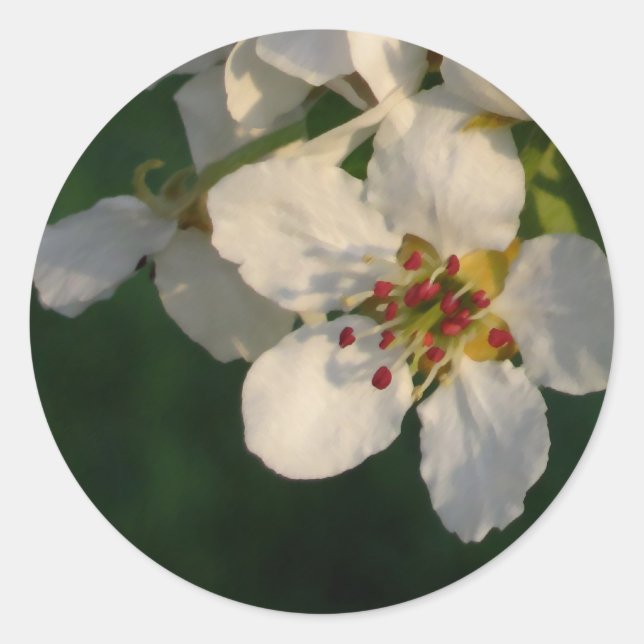 White Pear Blossom Envelope Seals (Front)