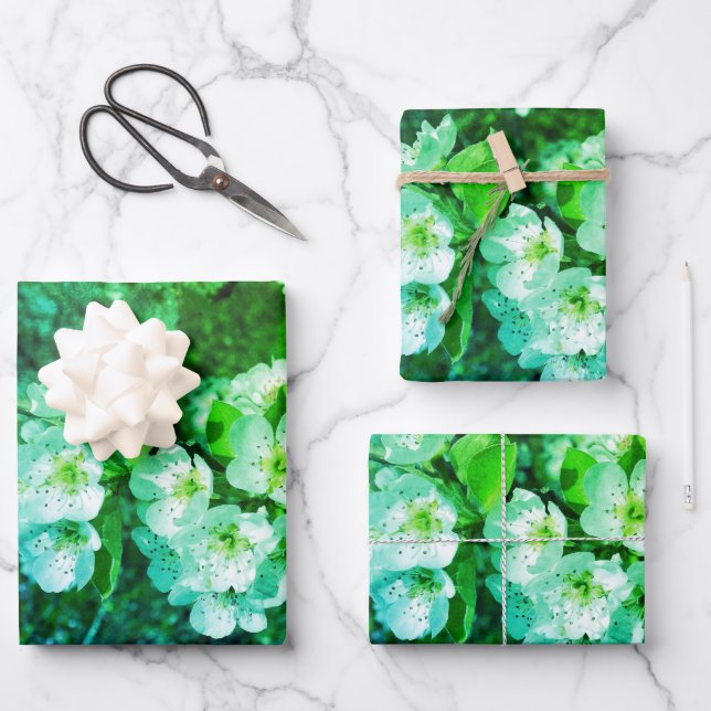 White pear blossoms in spring wrapping paper sheet (Front)