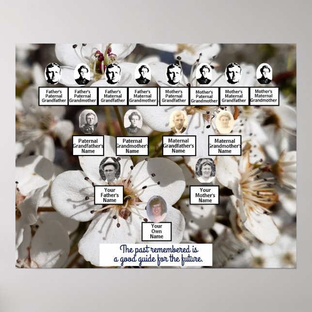 White Pear Blossoms Photo Family Tree Poster (Front)