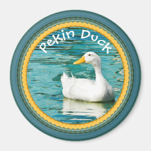 White Pekin Duck - Nature Photography Urban Lake Magnet