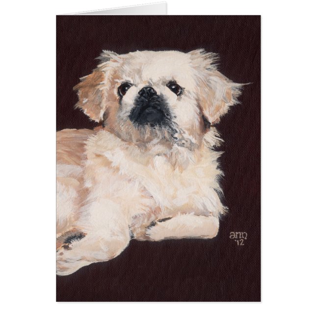 White Pekingese Dog (Front)