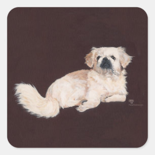 White Pekingese Dog Square Sticker