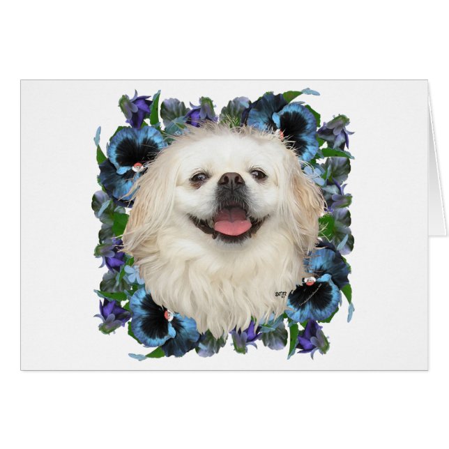 White Pekingese with Pansies (Front Horizontal)