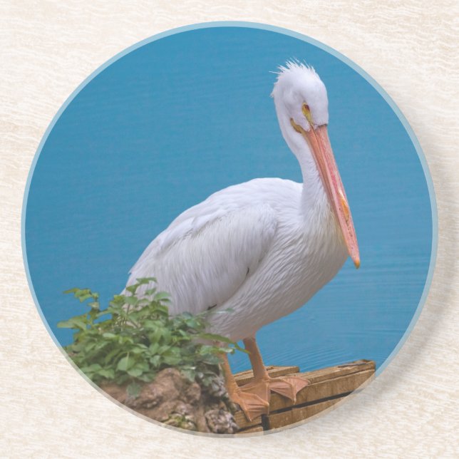 White Pelican Coaster (Front)