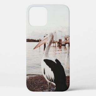 WHITE PELICAN ON BODY OF WATER DURING DAYTIME iPhone 12 CASE