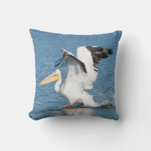 White pelican on Grand pillow