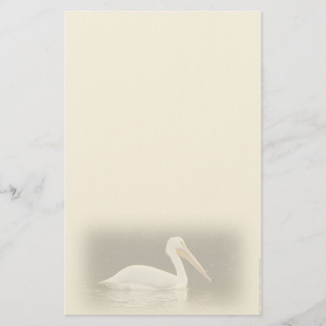 White Pelican Personal Stationery (Front)