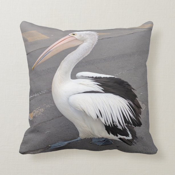 Pelican Gifts on Zazzle AU