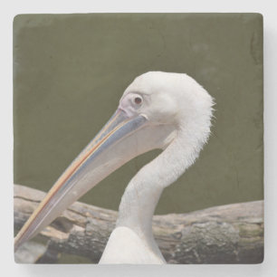 White Pelican Stone Coaster
