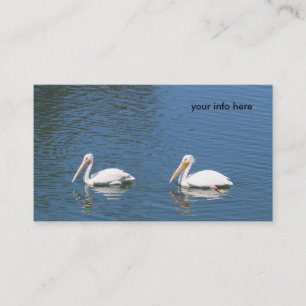 white pelicans business card