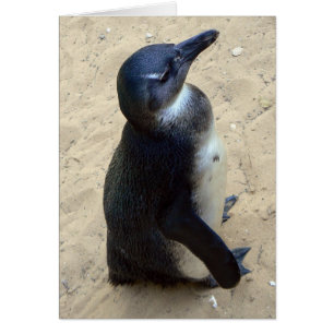 White penquin