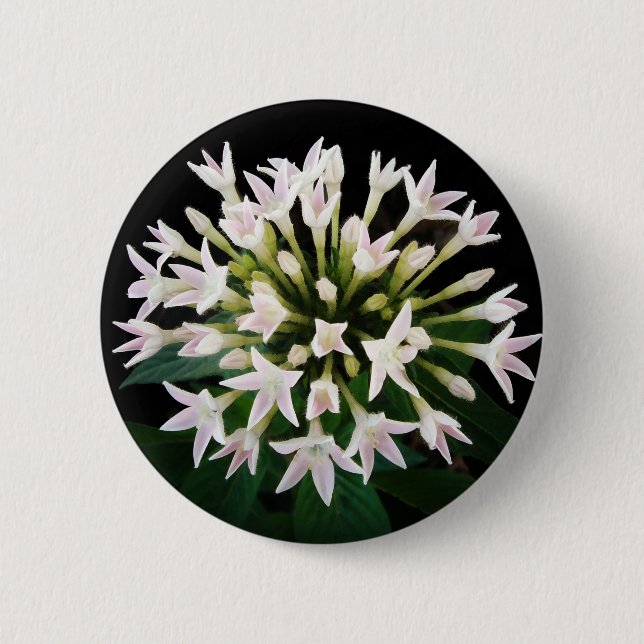 White Pentas 6 Cm Round Badge (Front)