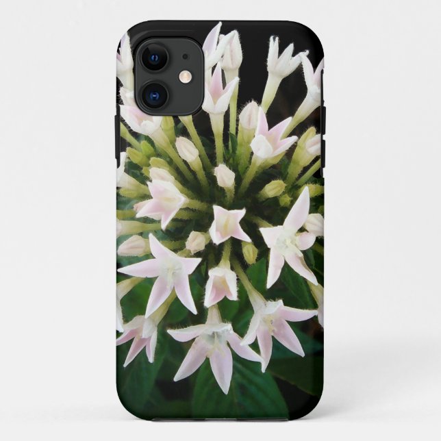 White Pentas Case-Mate iPhone Case (Back)