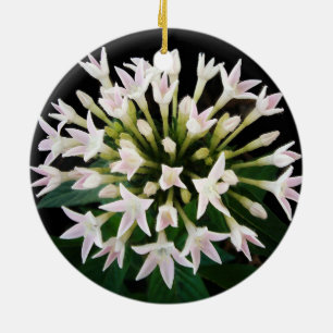 White Pentas Ceramic Ornament