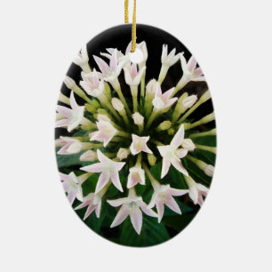 White Pentas Ceramic Tree Decoration