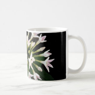 White Pentas Coffee Mug