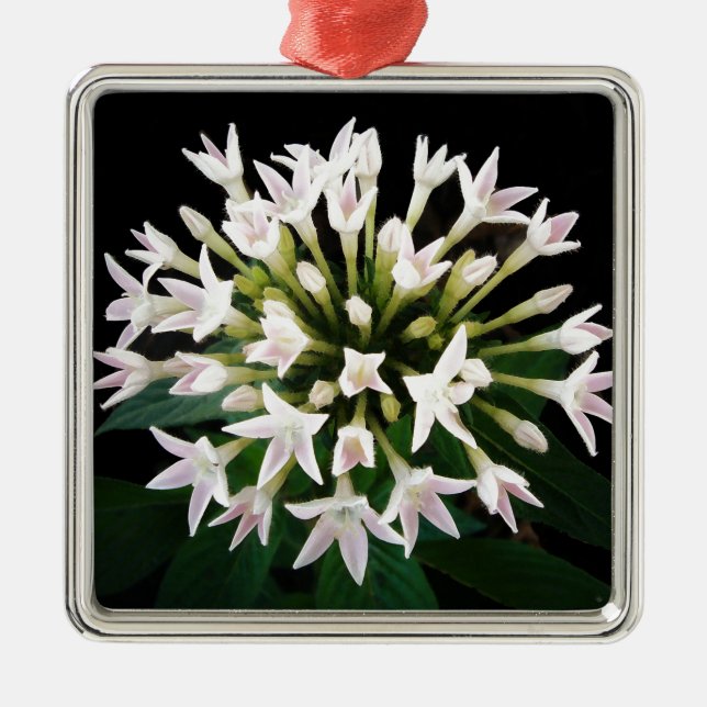White Pentas Metal Tree Decoration (Front)