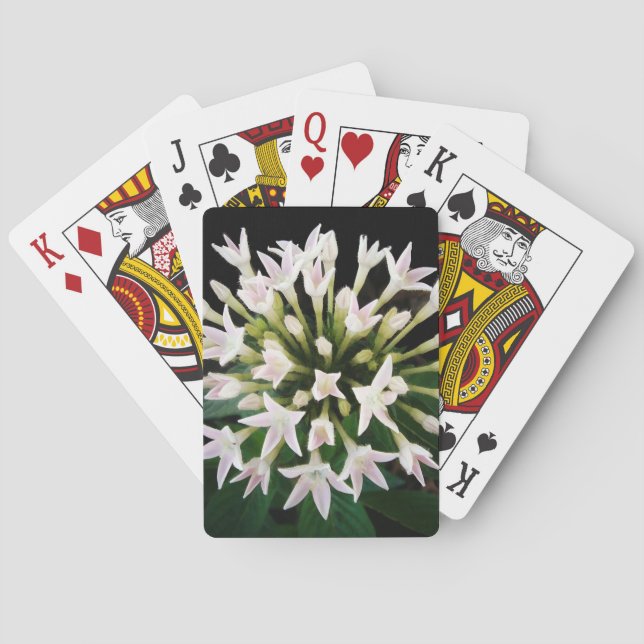 White Pentas Playing Cards (Back)